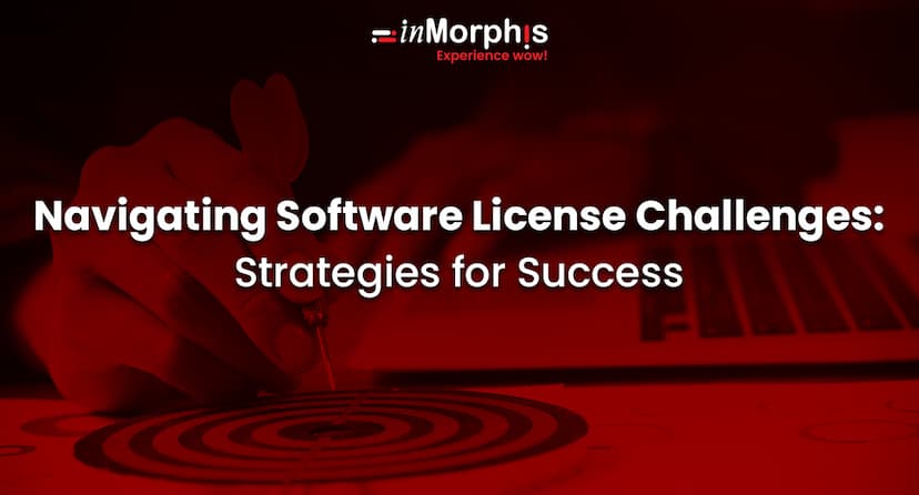 Navigating Software License Challenges: Strategies for Success 