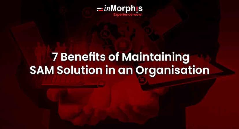 7 Benefits of Maintaining SAM Solution in an Organisation 