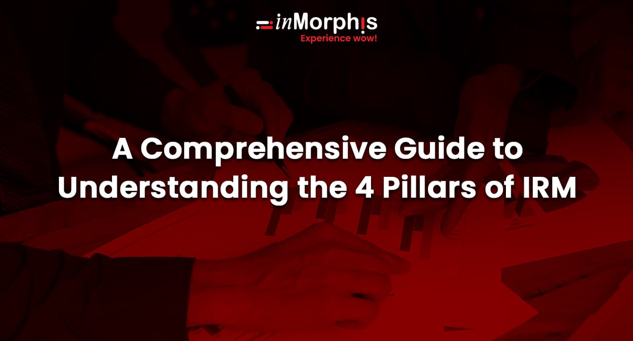 A Comprehensive Guide to Understanding the 4 Pillars of IRM
