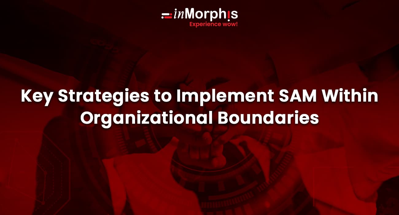 Key Strategies to Implement SAM Within Organizational Boundaries   