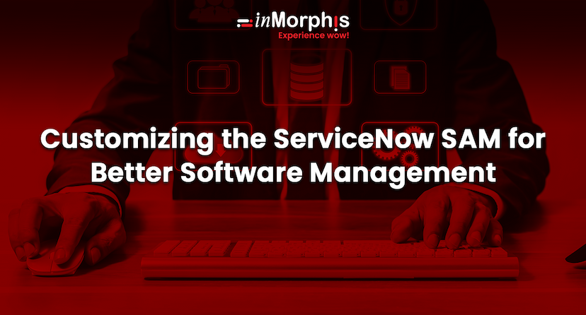 Customizing the ServiceNow SAM for Better Software Management   