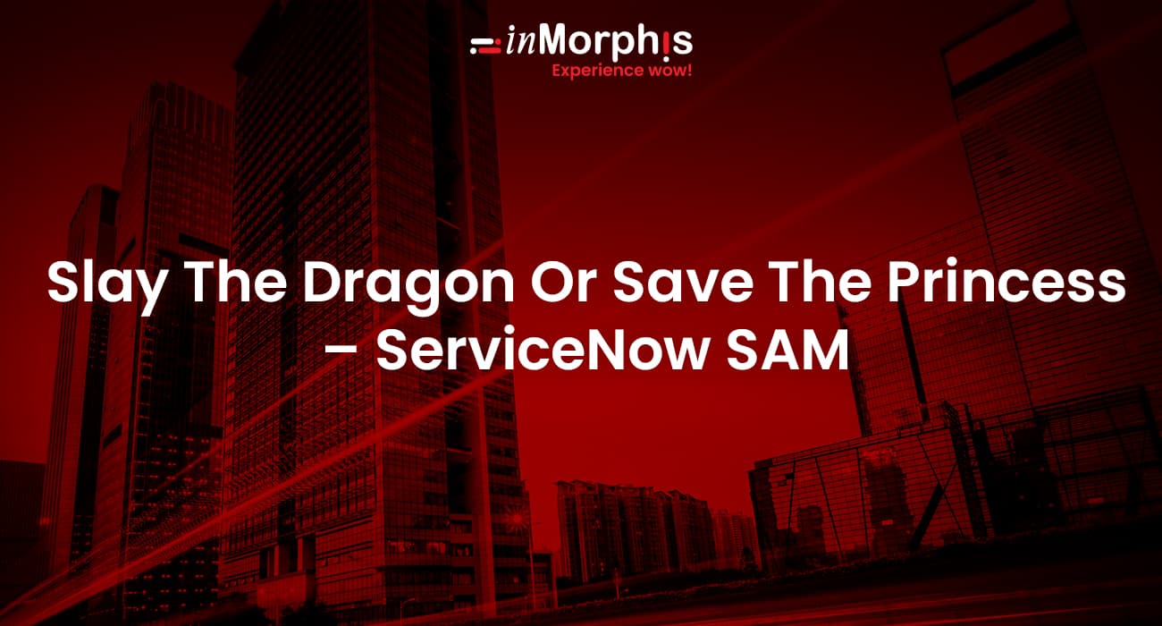 Slay The Dragon or Save The Princess- ServiceNow SAM