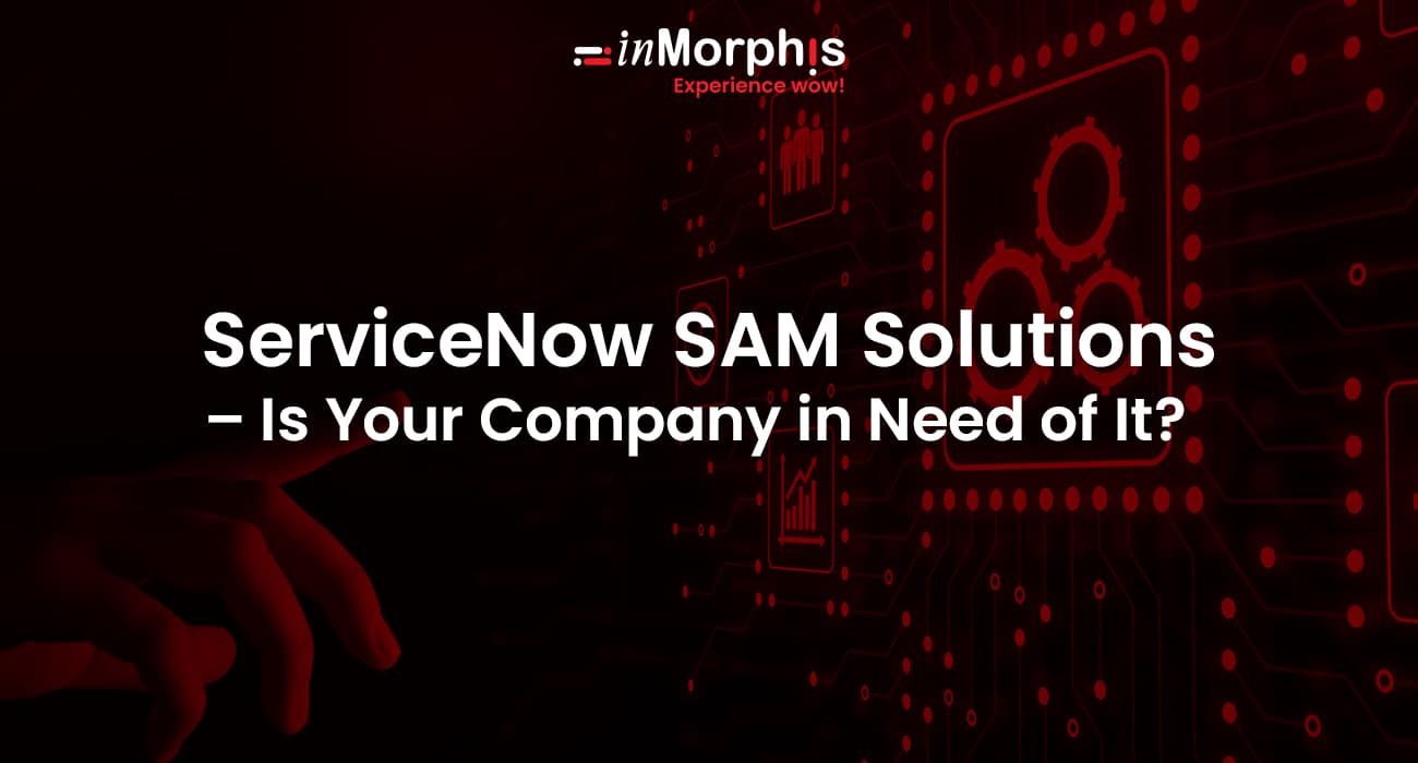 ServiceNow SAM Solutions – Is Your Company in Need of It? 
